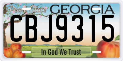 GA license plate CBJ9315