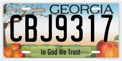 GA license plate CBJ9317
