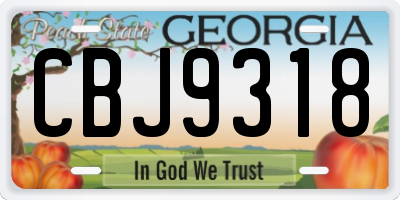 GA license plate CBJ9318