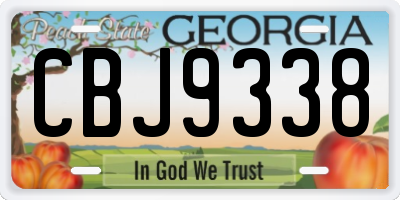 GA license plate CBJ9338