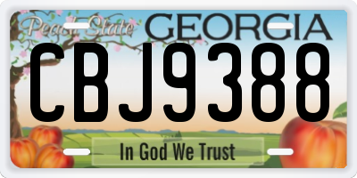GA license plate CBJ9388