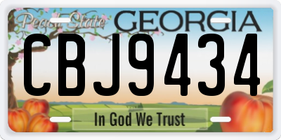 GA license plate CBJ9434