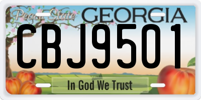 GA license plate CBJ9501
