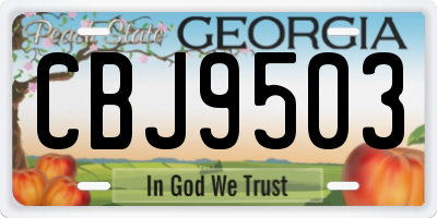 GA license plate CBJ9503