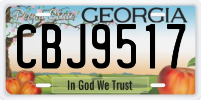 GA license plate CBJ9517