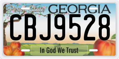 GA license plate CBJ9528