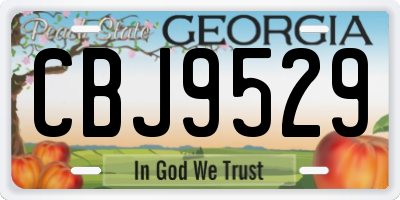 GA license plate CBJ9529