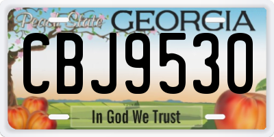 GA license plate CBJ9530