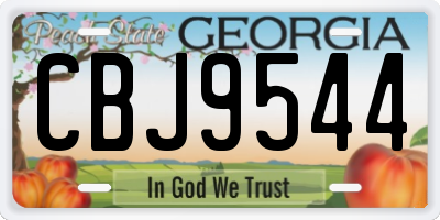GA license plate CBJ9544