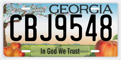 GA license plate CBJ9548