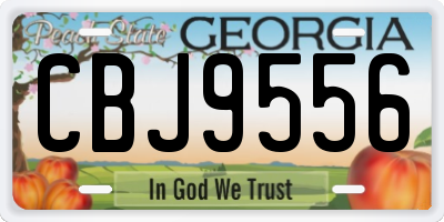 GA license plate CBJ9556