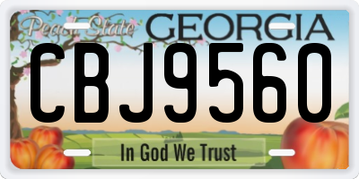 GA license plate CBJ9560