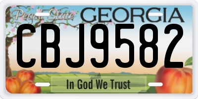 GA license plate CBJ9582