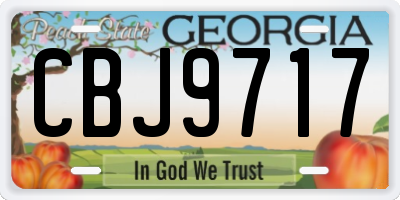 GA license plate CBJ9717