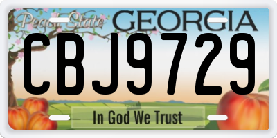 GA license plate CBJ9729