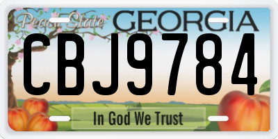 GA license plate CBJ9784