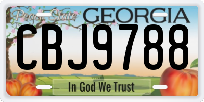 GA license plate CBJ9788