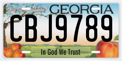 GA license plate CBJ9789