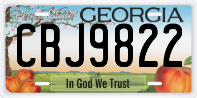 GA license plate CBJ9822