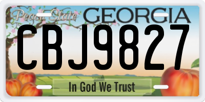 GA license plate CBJ9827
