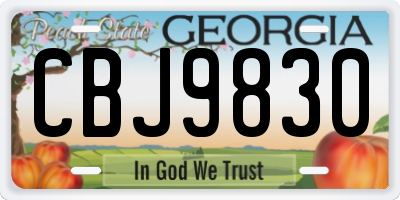 GA license plate CBJ9830