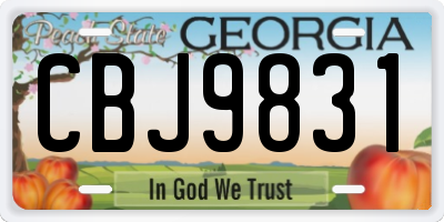 GA license plate CBJ9831