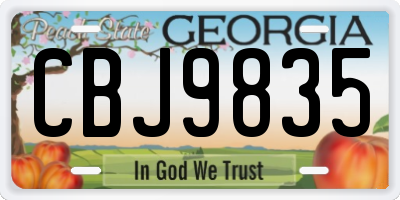 GA license plate CBJ9835