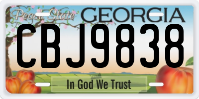GA license plate CBJ9838