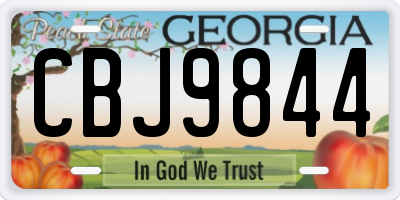 GA license plate CBJ9844