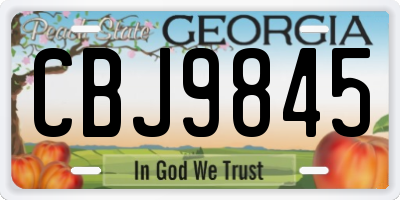 GA license plate CBJ9845