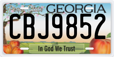 GA license plate CBJ9852