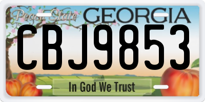 GA license plate CBJ9853