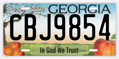 GA license plate CBJ9854