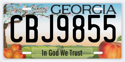 GA license plate CBJ9855