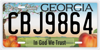 GA license plate CBJ9864