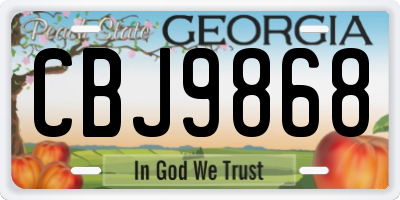GA license plate CBJ9868