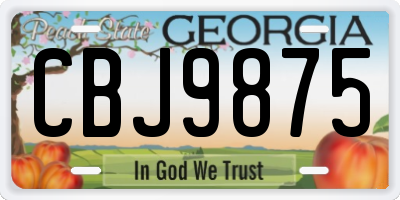 GA license plate CBJ9875