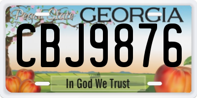 GA license plate CBJ9876
