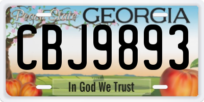 GA license plate CBJ9893