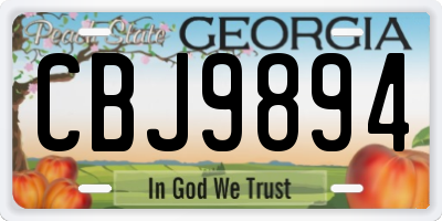 GA license plate CBJ9894