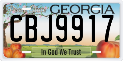 GA license plate CBJ9917