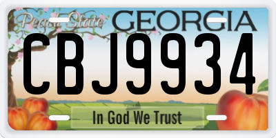 GA license plate CBJ9934