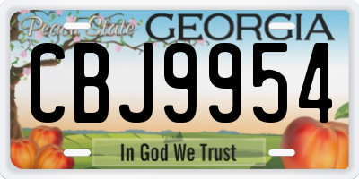 GA license plate CBJ9954