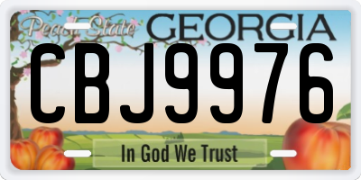 GA license plate CBJ9976