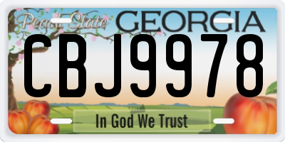 GA license plate CBJ9978