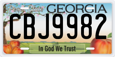 GA license plate CBJ9982
