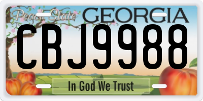 GA license plate CBJ9988