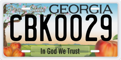 GA license plate CBK0029