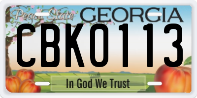 GA license plate CBK0113
