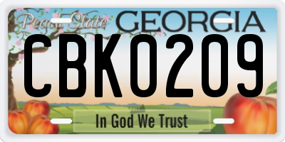 GA license plate CBK0209